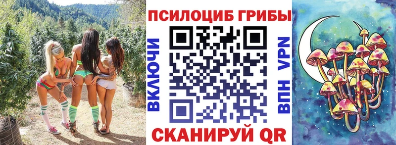 закладки  это клад  Псилоцибиновые грибы GOLDEN TEACHER  Юрьев-Польский 