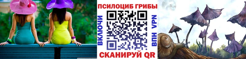 Псилоцибиновые грибы ЛСД Юрьев-Польский